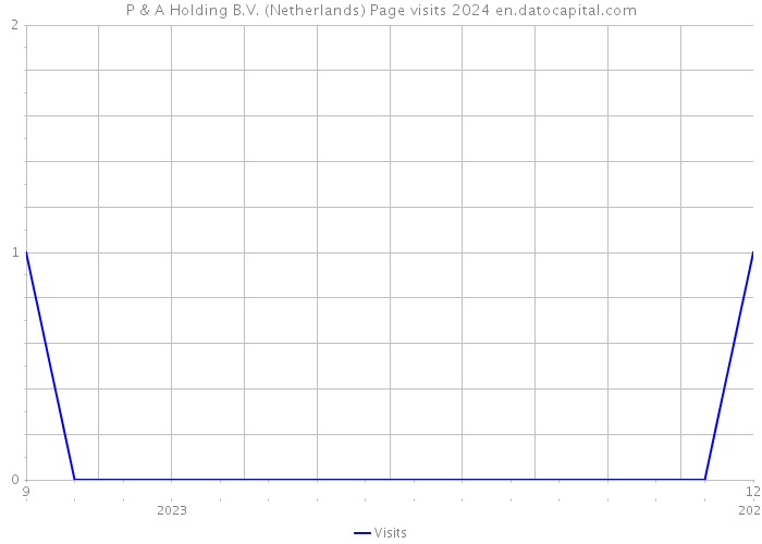 P & A Holding B.V. (Netherlands) Page visits 2024 