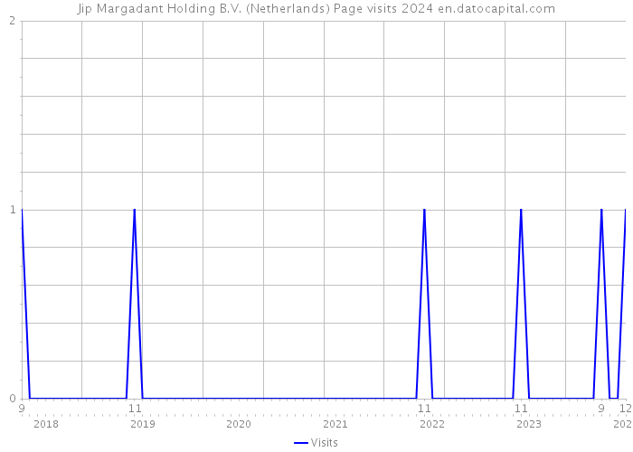 Jip Margadant Holding B.V. (Netherlands) Page visits 2024 