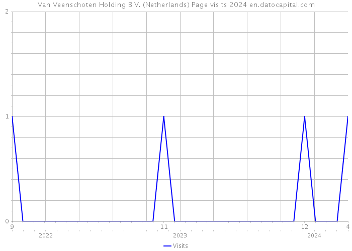Van Veenschoten Holding B.V. (Netherlands) Page visits 2024 
