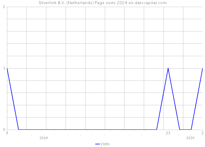 Silverlink B.V. (Netherlands) Page visits 2024 