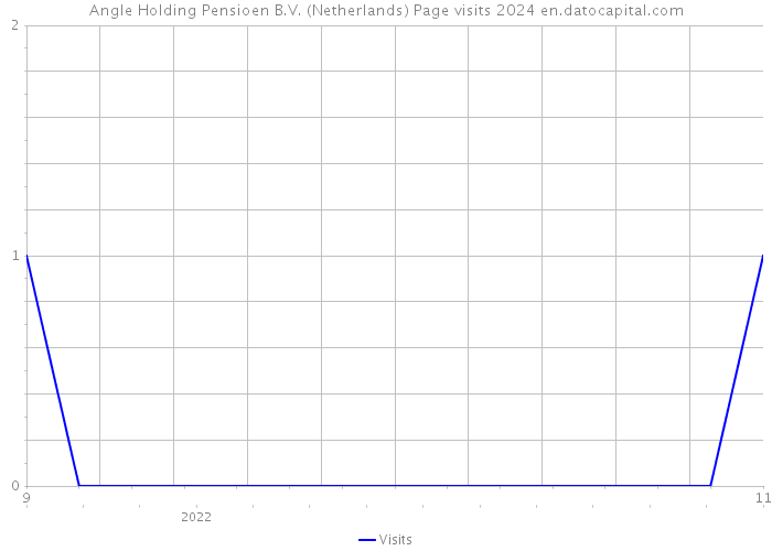 Angle Holding Pensioen B.V. (Netherlands) Page visits 2024 