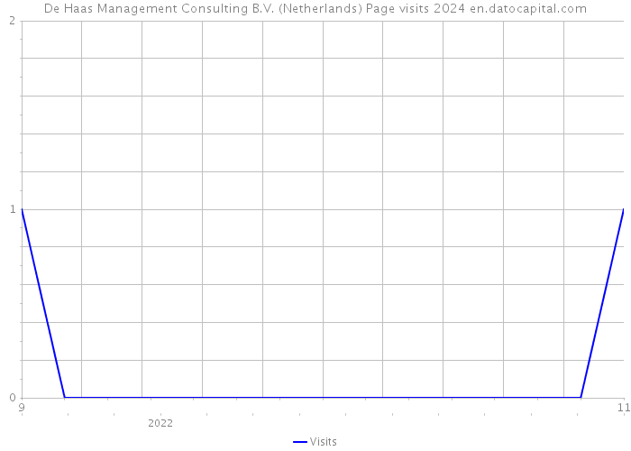 De Haas Management Consulting B.V. (Netherlands) Page visits 2024 