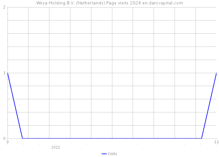 Weza Holding B.V. (Netherlands) Page visits 2024 