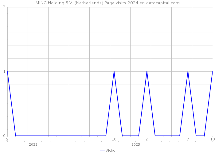 MING Holding B.V. (Netherlands) Page visits 2024 