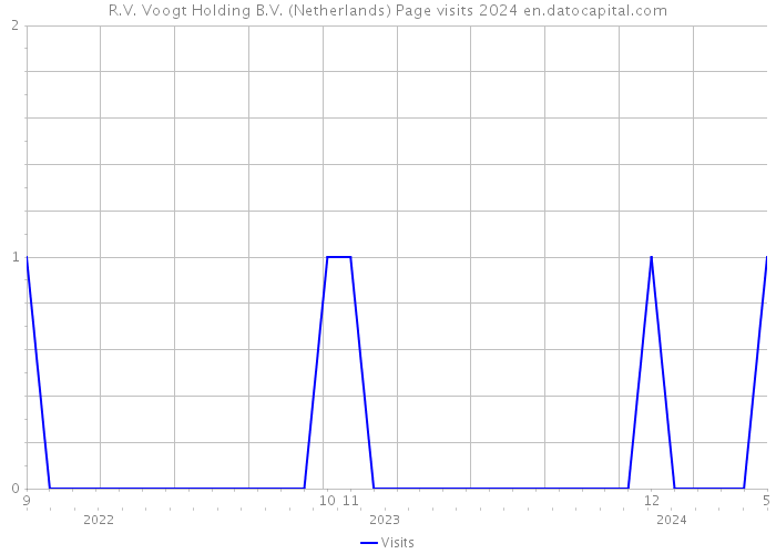 R.V. Voogt Holding B.V. (Netherlands) Page visits 2024 