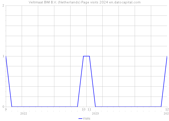Veltmaat BWI B.V. (Netherlands) Page visits 2024 