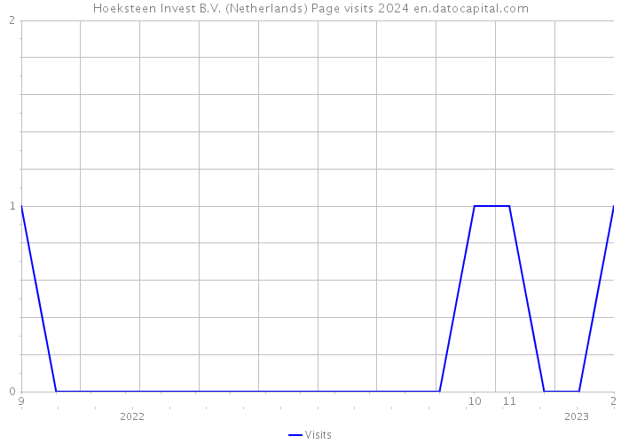 Hoeksteen Invest B.V. (Netherlands) Page visits 2024 