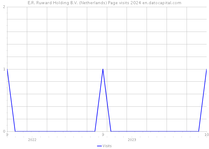 E.R. Ruward Holding B.V. (Netherlands) Page visits 2024 