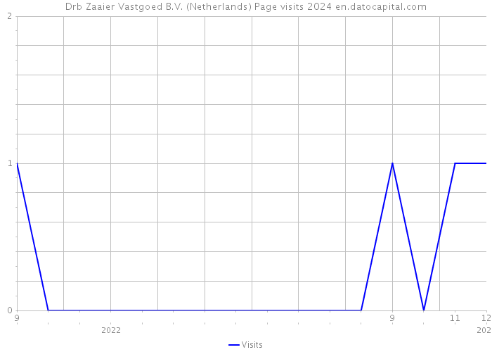 Drb Zaaier Vastgoed B.V. (Netherlands) Page visits 2024 