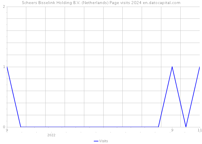 Scheers Bisselink Holding B.V. (Netherlands) Page visits 2024 
