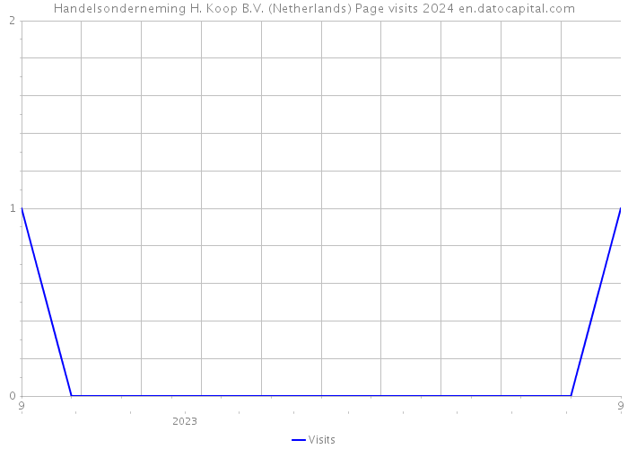 Handelsonderneming H. Koop B.V. (Netherlands) Page visits 2024 