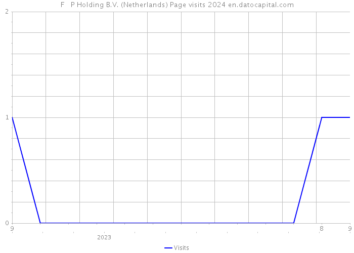 F + P Holding B.V. (Netherlands) Page visits 2024 