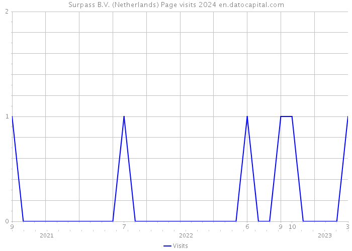 Surpass B.V. (Netherlands) Page visits 2024 