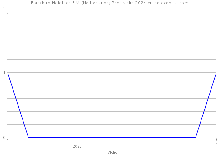 Blackbird Holdings B.V. (Netherlands) Page visits 2024 