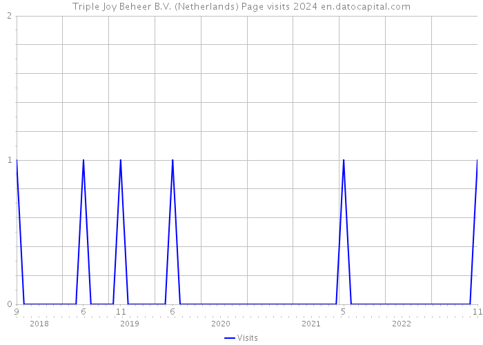 Triple Joy Beheer B.V. (Netherlands) Page visits 2024 