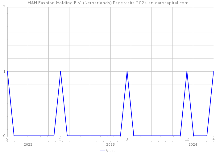 H&H Fashion Holding B.V. (Netherlands) Page visits 2024 