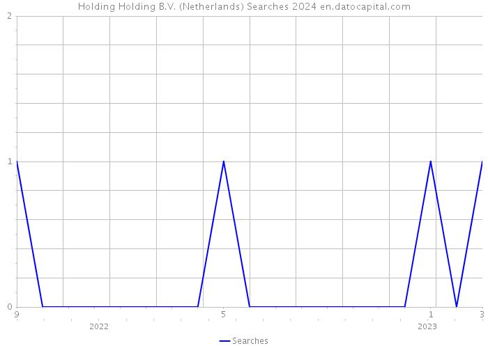 Holding Holding B.V. (Netherlands) Searches 2024 