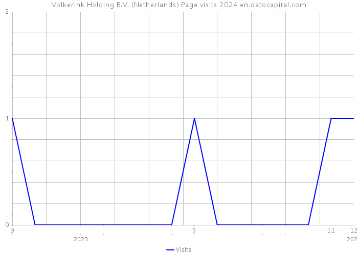 Volkerink Holding B.V. (Netherlands) Page visits 2024 