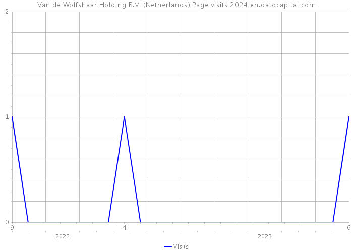 Van de Wolfshaar Holding B.V. (Netherlands) Page visits 2024 