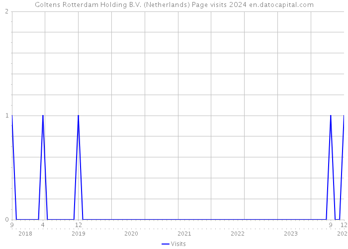 Goltens Rotterdam Holding B.V. (Netherlands) Page visits 2024 