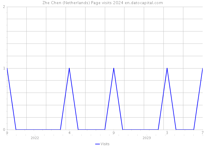 Zhe Chen (Netherlands) Page visits 2024 