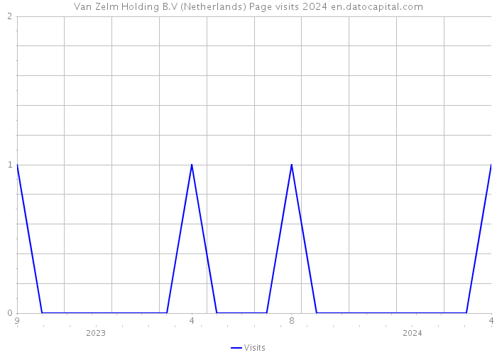 Van Zelm Holding B.V (Netherlands) Page visits 2024 