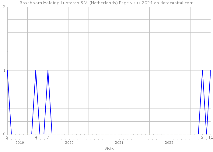 Roseboom Holding Lunteren B.V. (Netherlands) Page visits 2024 