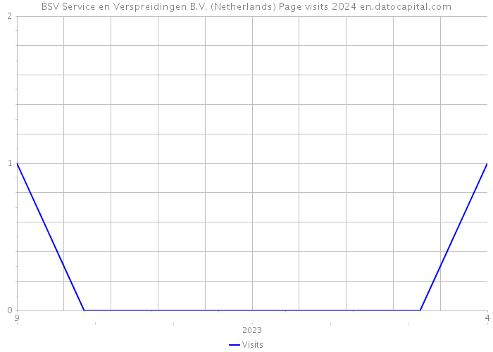BSV Service en Verspreidingen B.V. (Netherlands) Page visits 2024 
