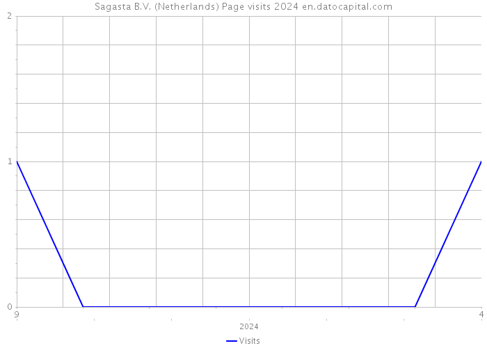 Sagasta B.V. (Netherlands) Page visits 2024 