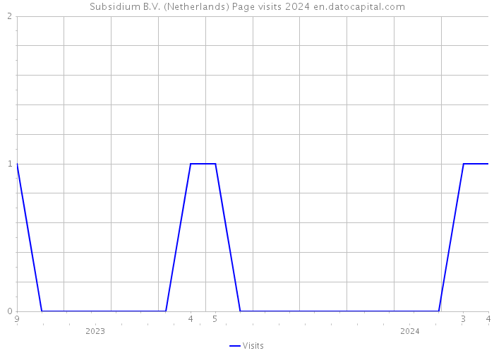 Subsidium B.V. (Netherlands) Page visits 2024 