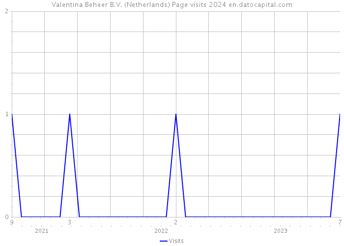 Valentina Beheer B.V. (Netherlands) Page visits 2024 