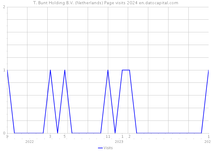 T. Bunt Holding B.V. (Netherlands) Page visits 2024 