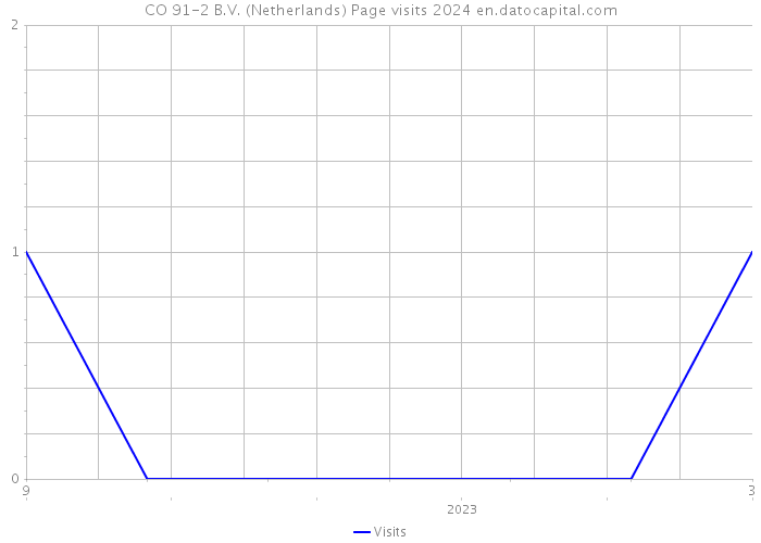 CO 91-2 B.V. (Netherlands) Page visits 2024 