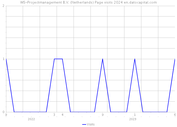 WS-Projectmanagement B.V. (Netherlands) Page visits 2024 