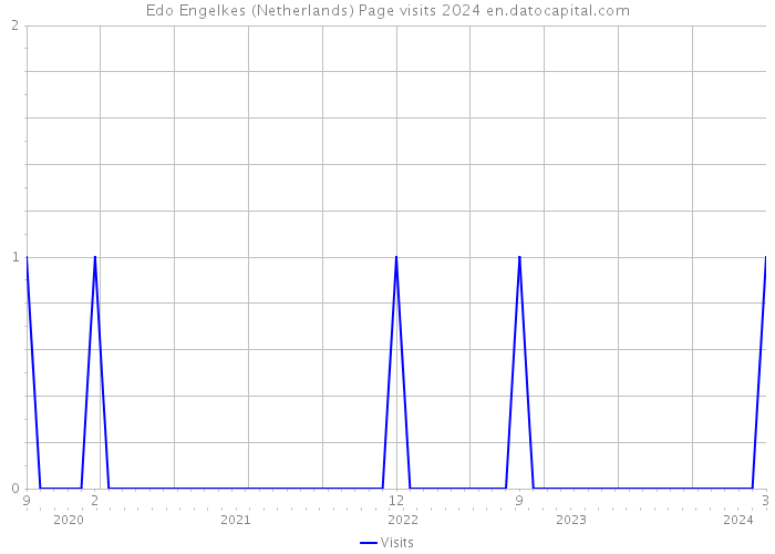 Edo Engelkes (Netherlands) Page visits 2024 