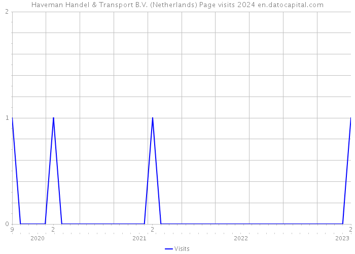 Haveman Handel & Transport B.V. (Netherlands) Page visits 2024 