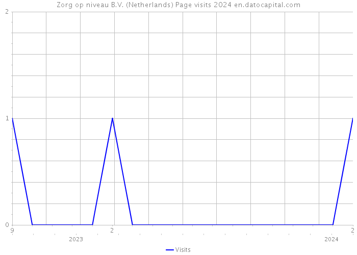 Zorg op niveau B.V. (Netherlands) Page visits 2024 