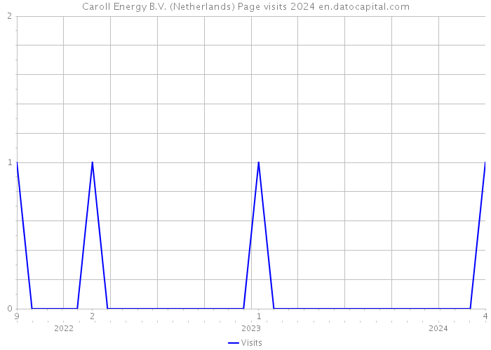 Caroll Energy B.V. (Netherlands) Page visits 2024 