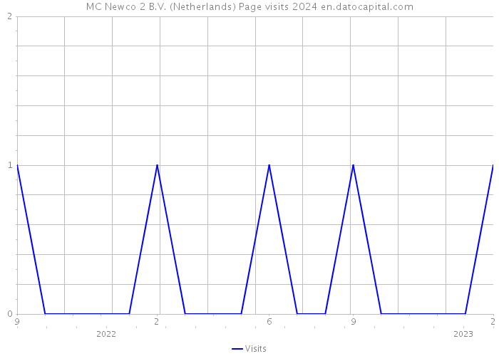 MC Newco 2 B.V. (Netherlands) Page visits 2024 