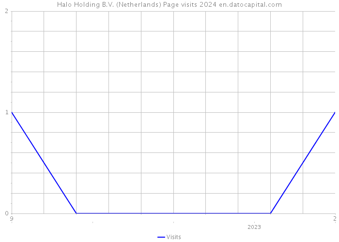 Halo Holding B.V. (Netherlands) Page visits 2024 