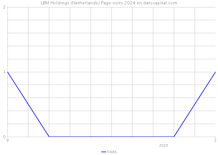 LBM Holdings (Netherlands) Page visits 2024 