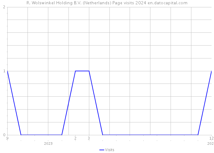 R. Wolswinkel Holding B.V. (Netherlands) Page visits 2024 