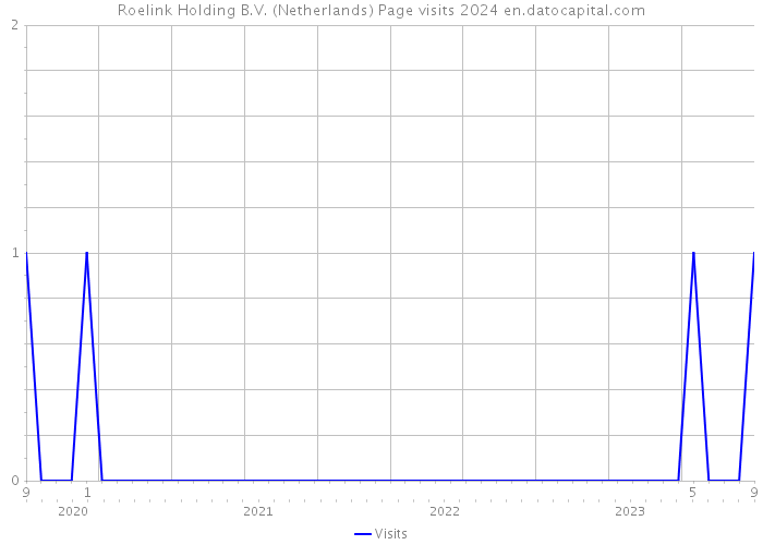 Roelink Holding B.V. (Netherlands) Page visits 2024 