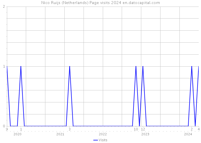 Nico Ruijs (Netherlands) Page visits 2024 