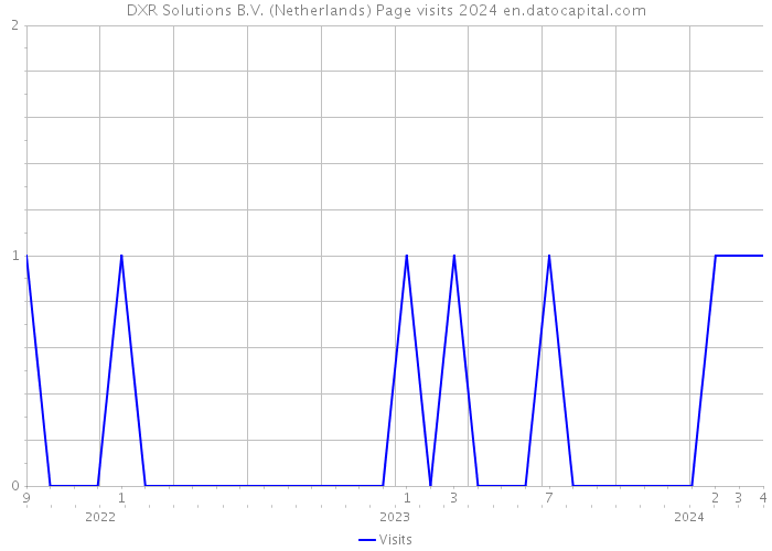 DXR Solutions B.V. (Netherlands) Page visits 2024 