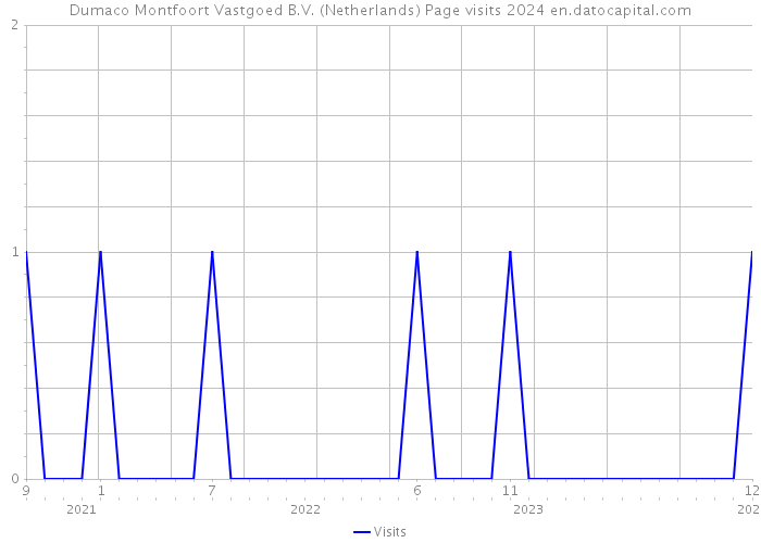 Dumaco Montfoort Vastgoed B.V. (Netherlands) Page visits 2024 