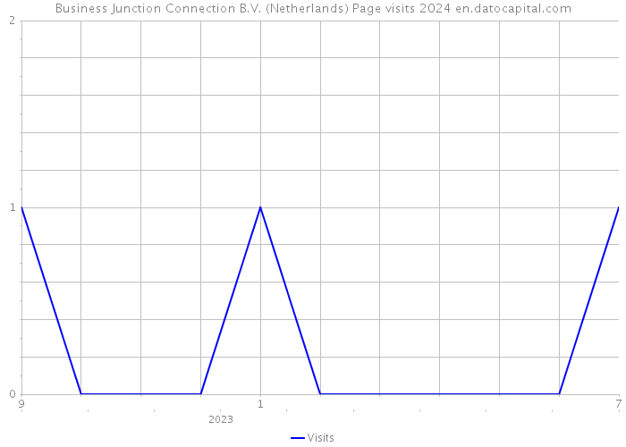 Business Junction Connection B.V. (Netherlands) Page visits 2024 
