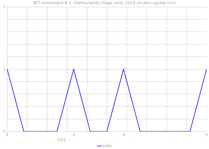 BIT Investment B.V. (Netherlands) Page visits 2024 