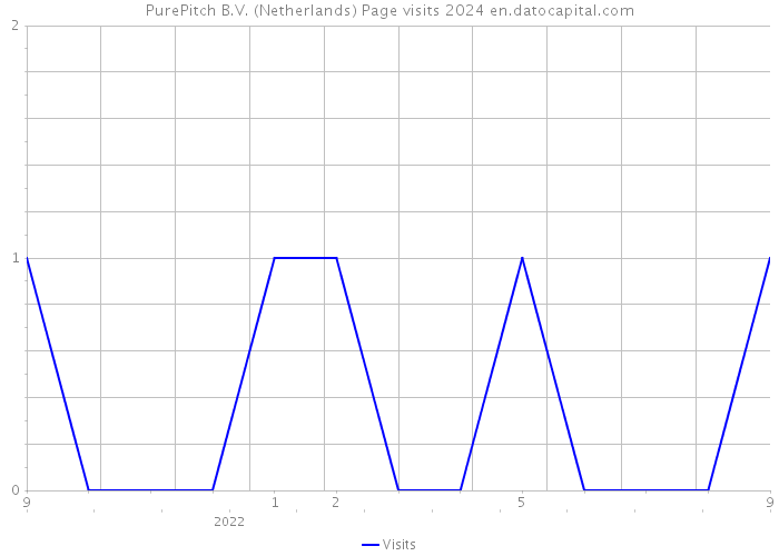 PurePitch B.V. (Netherlands) Page visits 2024 