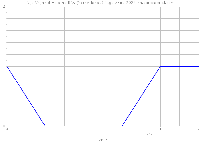Nije Vrijheid Holding B.V. (Netherlands) Page visits 2024 